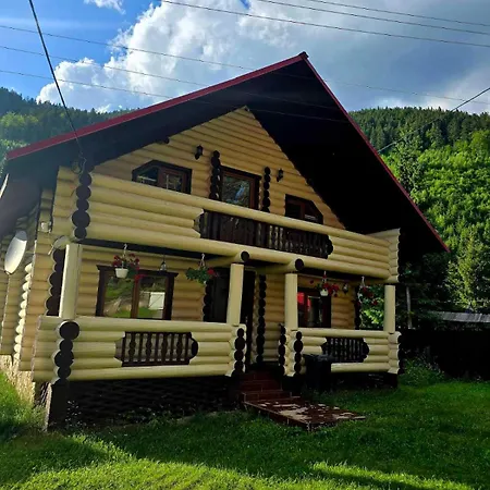 едельвейс Apartment Synevyrsʼka Polyana