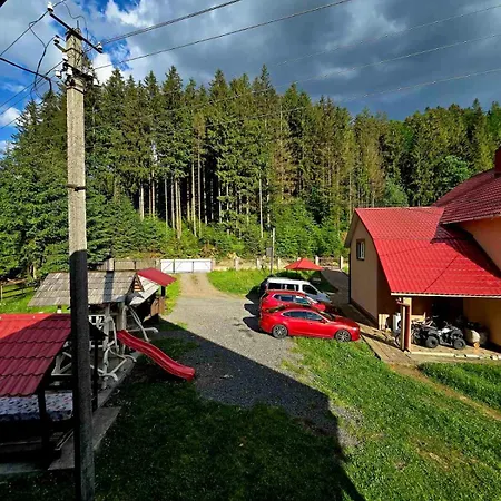 Apartment едельвейс Synevyrsʼka Polyana